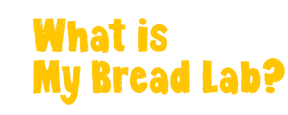 What is My Bread Lab?